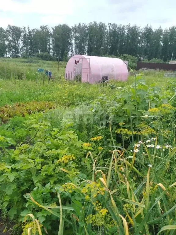 Участок в Челябинская область, Сосновский район, Кременкульское с/пос, ... - Фото 0