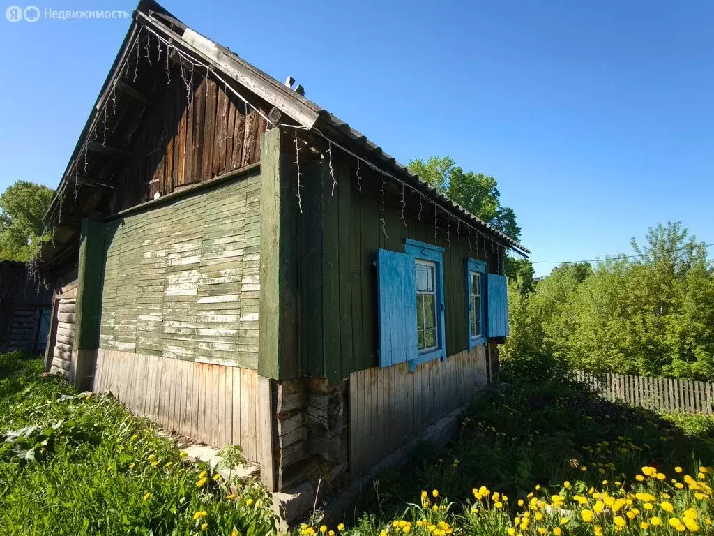 Дом в Болотное, улица Горького, 44 (17 м) - Фото 2
