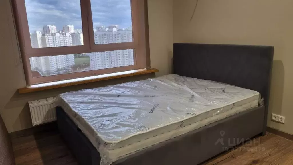 Студия Москва, Москва, Московский г. ул. Никитина, 3к4 (32.0 м) - Фото 2