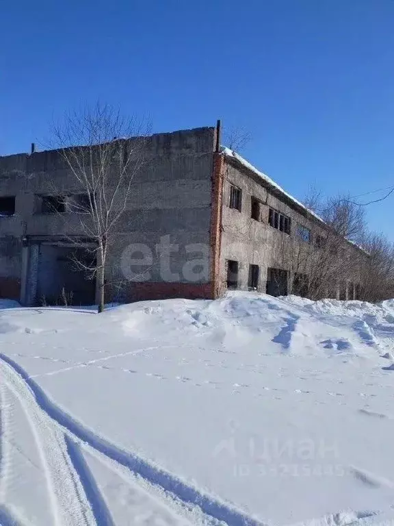 Помещение свободного назначения в Алтайский край, Красногорский район, ... - Фото 1