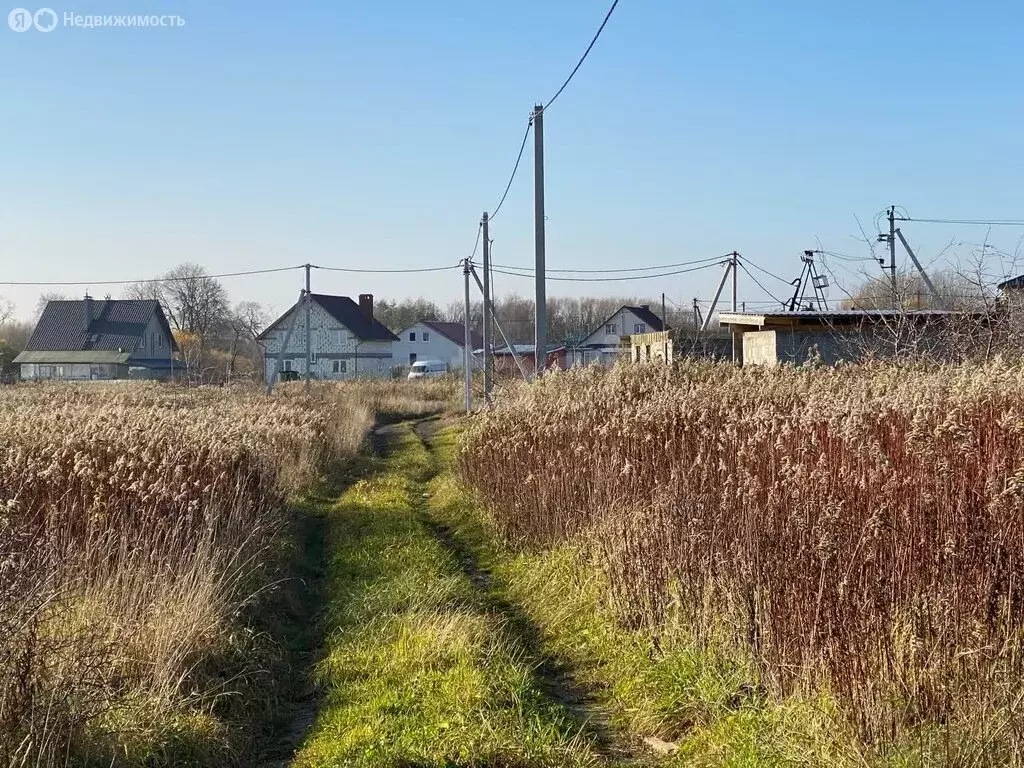 Участок в Калининградская область, Гурьевский муниципальный округ, ... - Фото 1