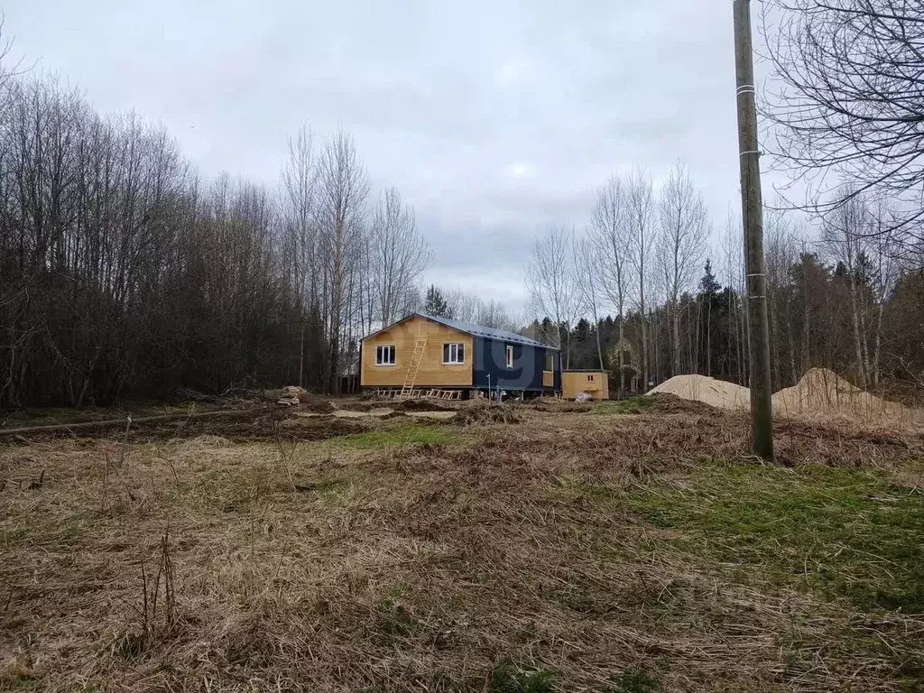 Участок в Ленинградская область, Выборгский район, Рощинское городское ... - Фото 1