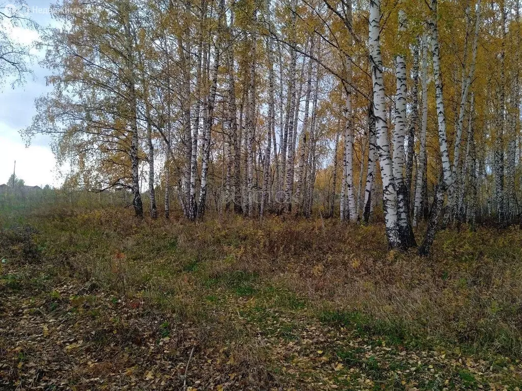 Участок в Шуваевский сельсовет, ДНТ Березняки, Бирюзовая улица (15 м) - Фото 0