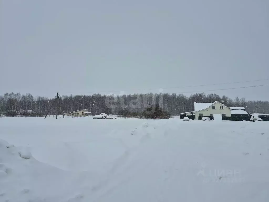 Участок в Ярославская область, Некрасовский муниципальный округ, д. ... - Фото 1