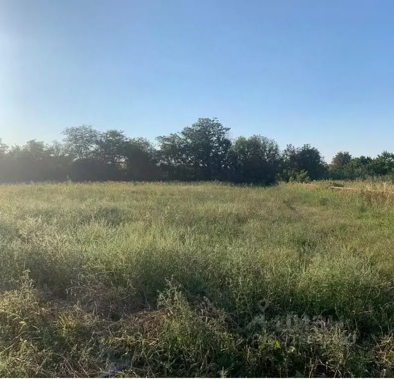 Участок в Краснодарский край, Новокубанск ул. Нева (7.88 сот.) - Фото 0