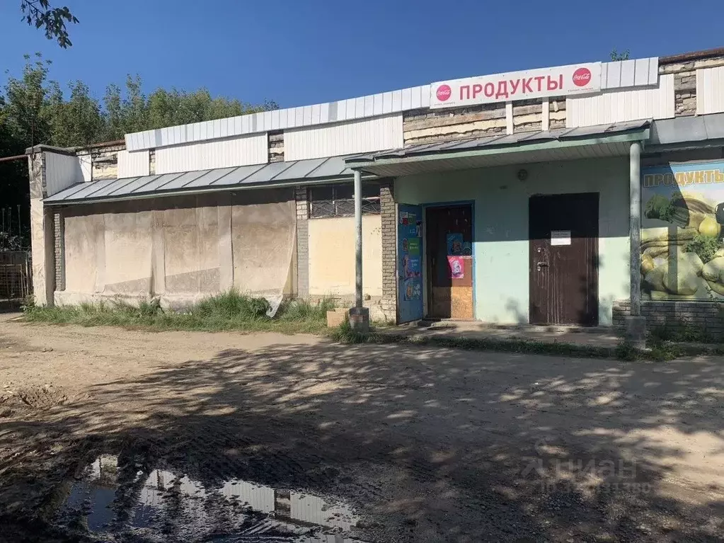 Торговая площадь в Нижегородская область, Нижний Новгород пос. ... - Фото 1