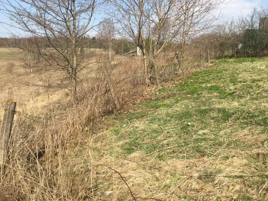 Участок в Московская область, Пушкинский городской округ, д. ... - Фото 0