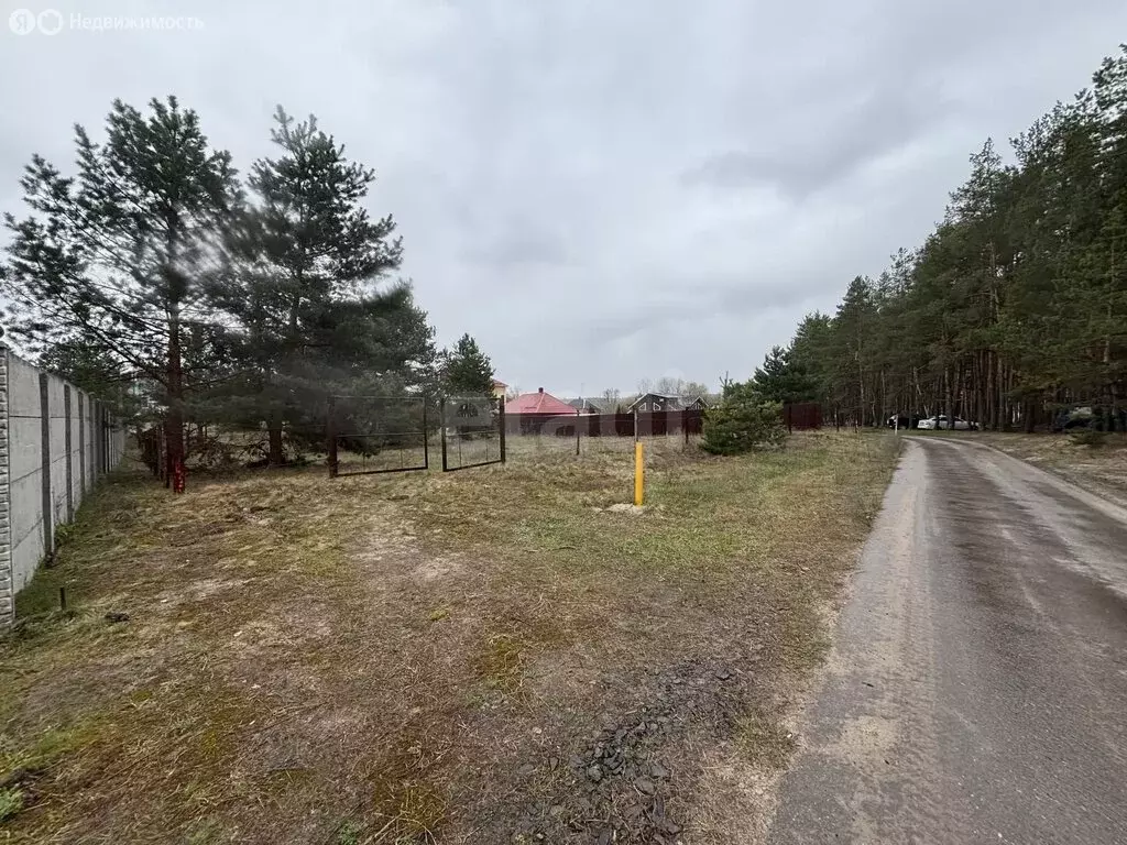 Участок в Белгородская область, Шебекинский муниципальный округ, ... - Фото 2