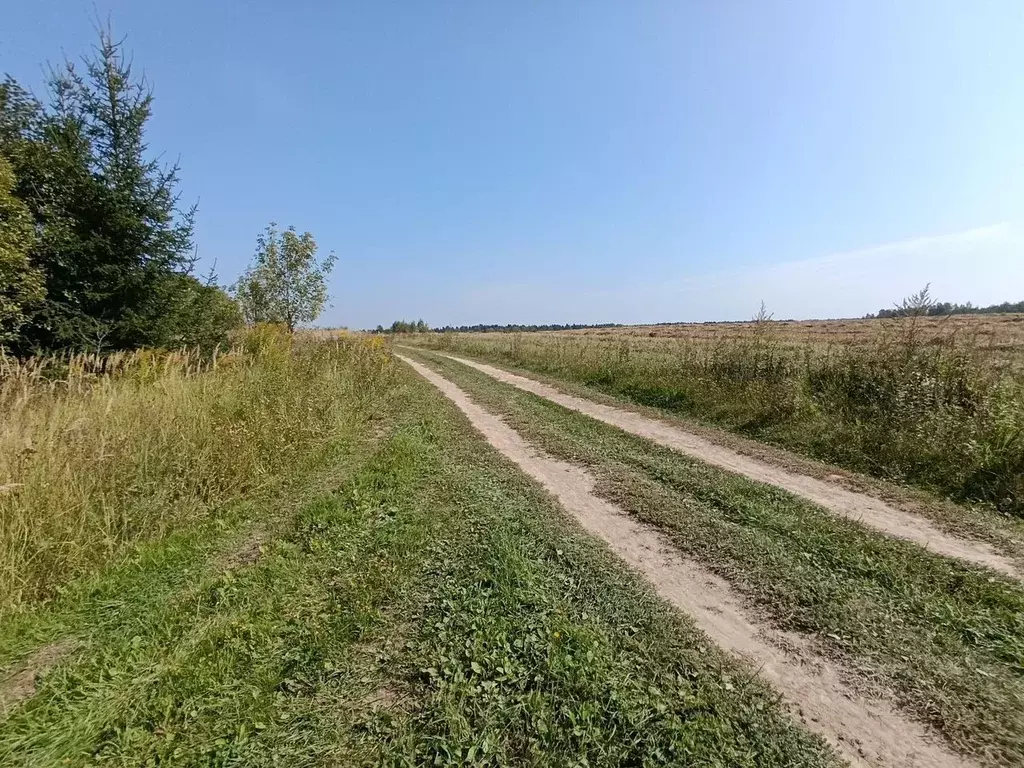 Участок в Калужская область, Жуковский район, Тарутино с/пос, д. ... - Фото 2