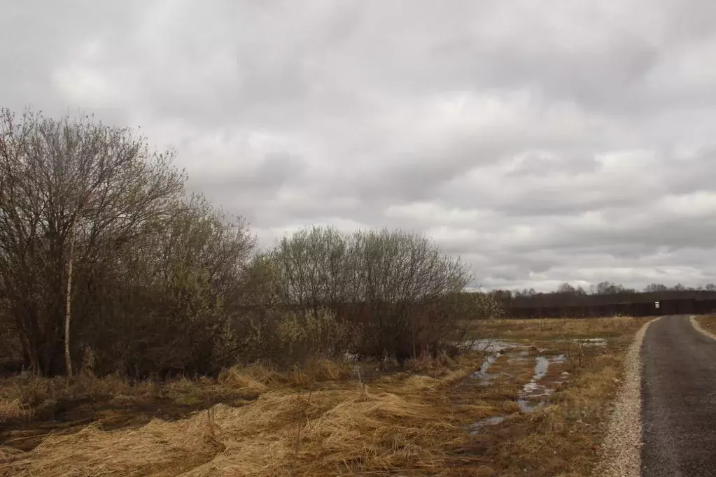 Участок в Московская область, Шаховская муниципальный округ, д. ... - Фото 2