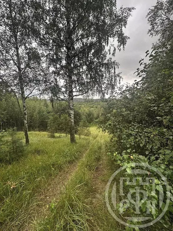 Участок в Ленинградская область, Всеволожский район, Колтушское ... - Фото 1