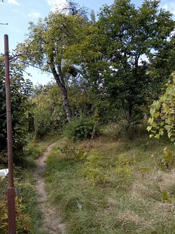 Дом в Краснодарский край, Туапсе пер. Мичурина (70 м) - Фото 2