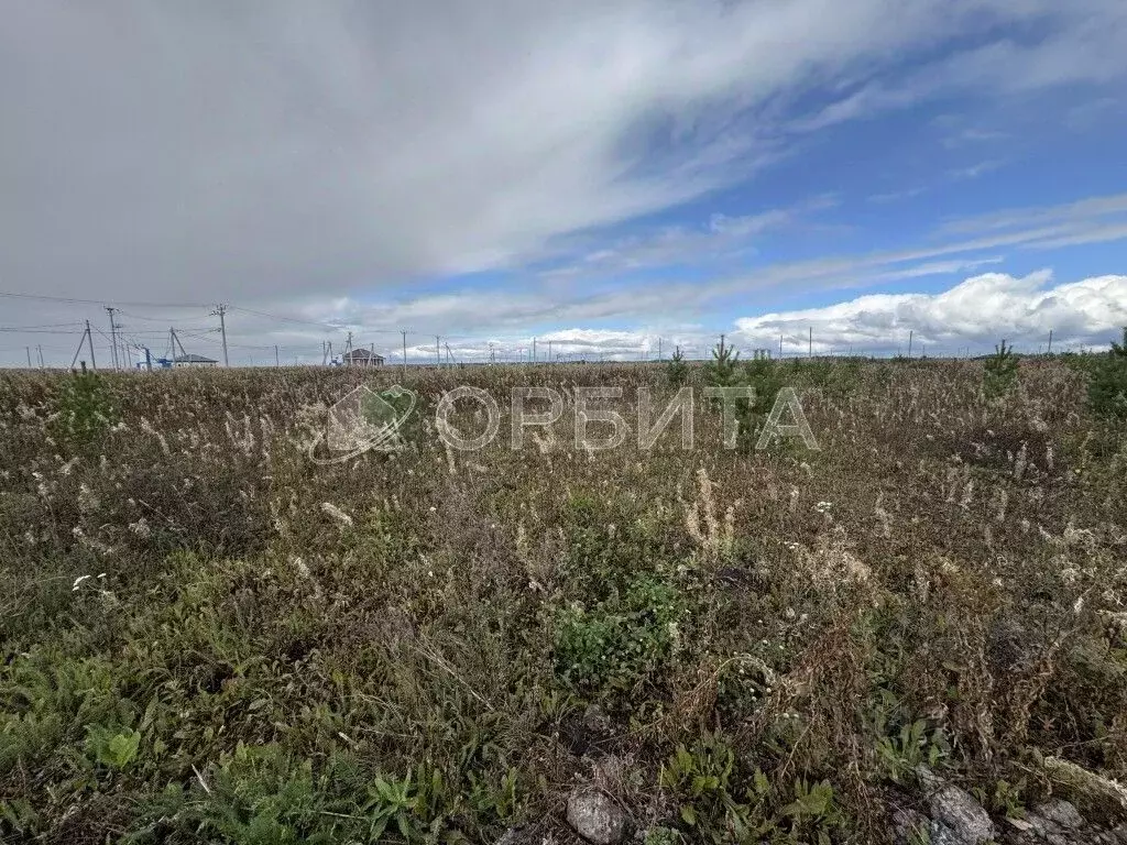 Участок в Тюменская область, Тюменский район, д. Малиновка ул. ... - Фото 1