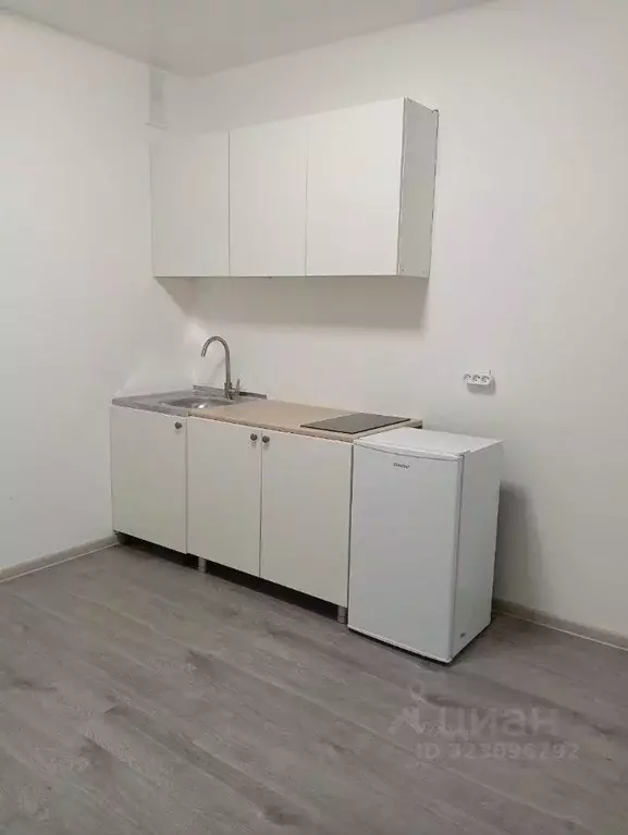 Студия Ленинградская область, Гатчинский муниципальный округ, д. Малое ... - Фото 1