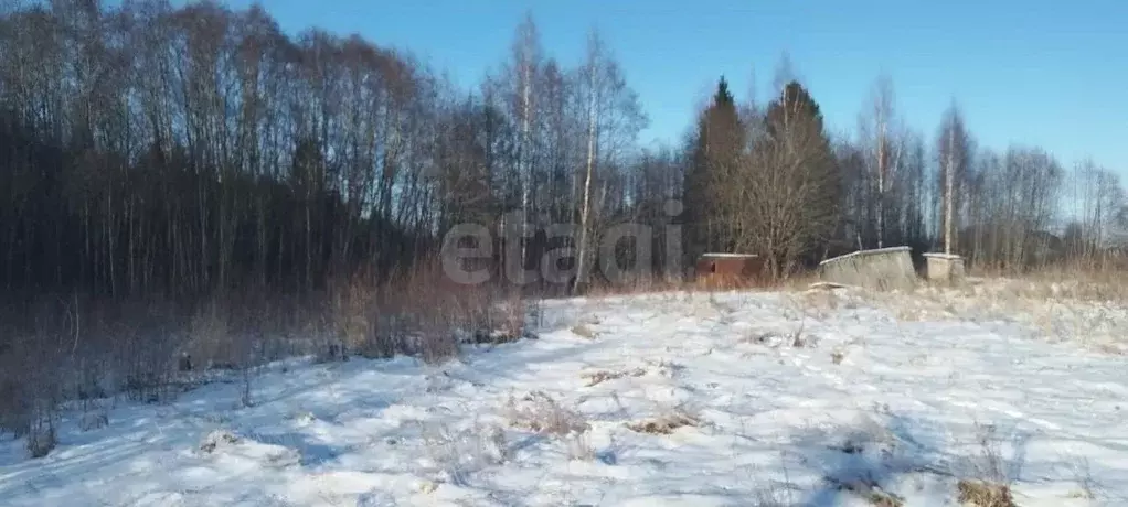 Участок в Вологодская область, Движенец садоводческое товарищество  ... - Фото 1