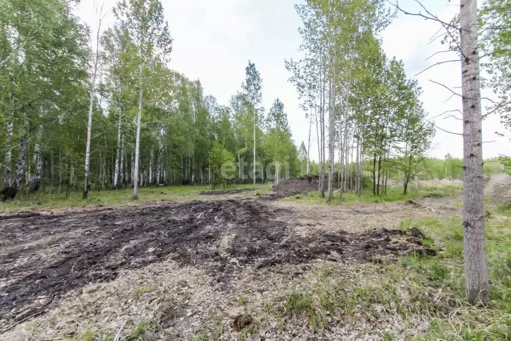 Участок в Тюменская область, Нижнетавдинский район, Сундукуль СНТ  ... - Фото 0