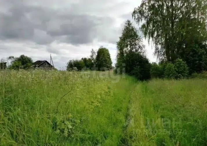 Участок в Костромская область, Чухломский район, Повалихинское с/пос, ... - Фото 2