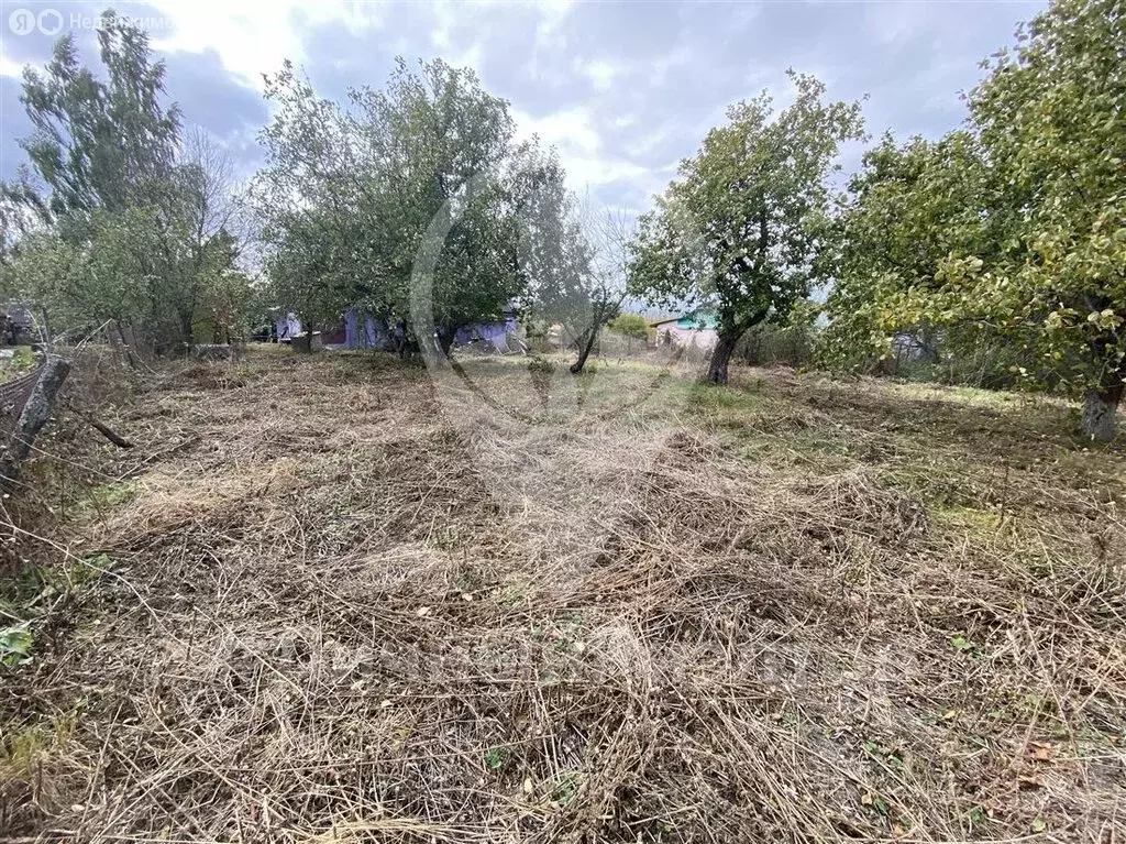 Участок в Рязанская область, Михайловский муниципальный округ, деревня ... - Фото 1