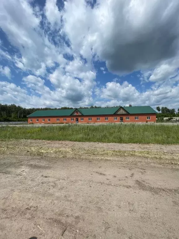 Помещение свободного назначения в Тамбовская область, Рассказовский ... - Фото 1