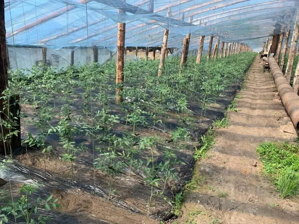 Участок в Иркутская область, Иркутский муниципальный округ, д. Талька  ... - Фото 1