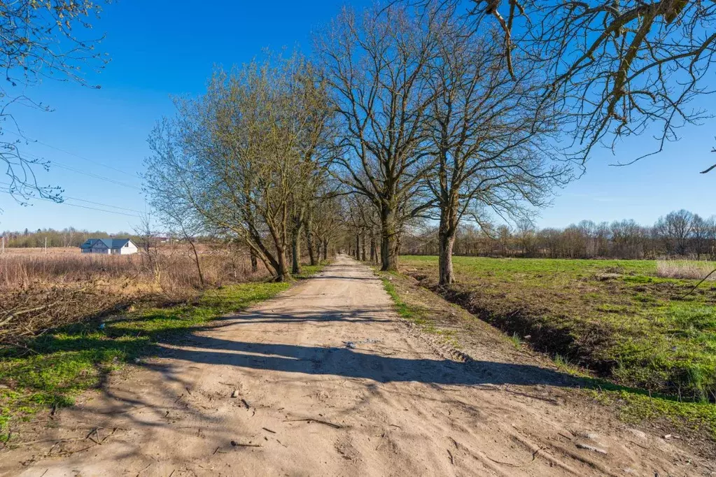 Участок в Калининградская область, Гурьевский муниципальный округ, ... - Фото 1