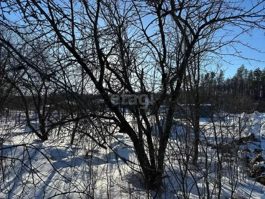 Участок в Мордовия, Саранск Новинка СНТ,  (4.6 сот.) - Фото 0