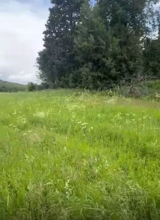 Участок в Московская область, Химки городской округ, д. Лигачево 13Б ... - Фото 0