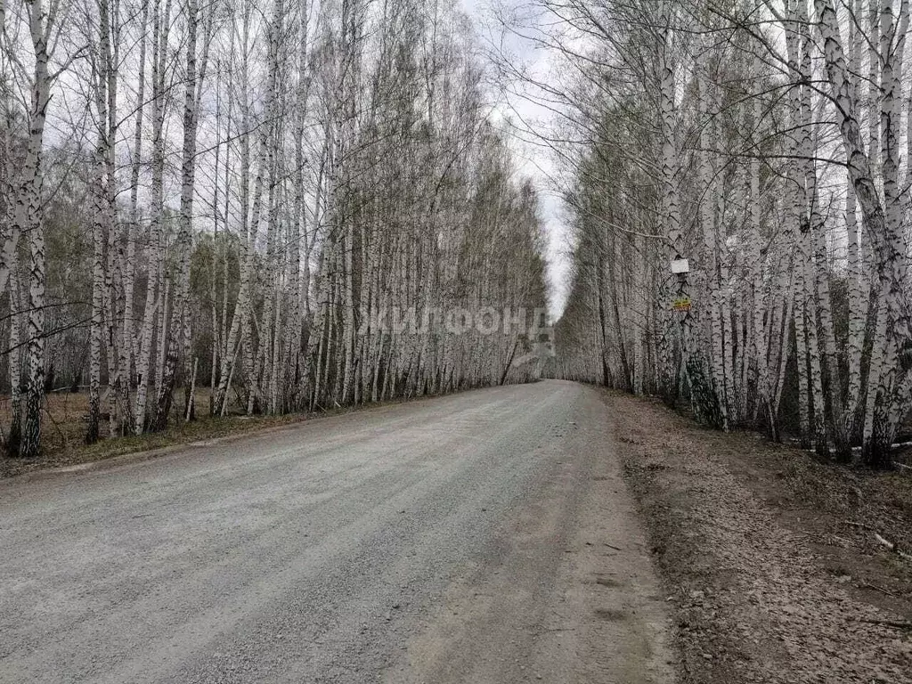 участок в новосибирская область, мошковский район, индия кп (9.24 . - Фото 0