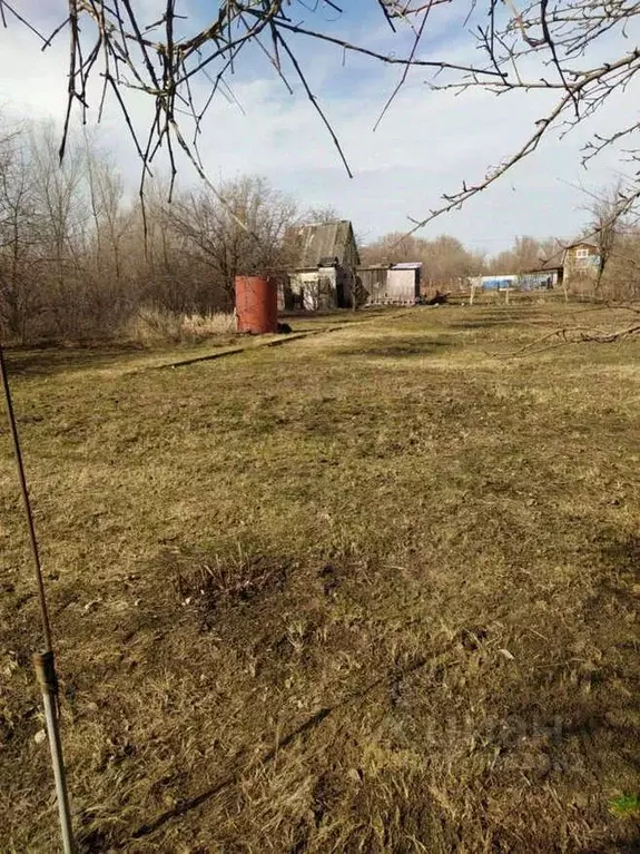 Участок в Саратовская область, Энгельсский район, Новопушкинское ... - Фото 2