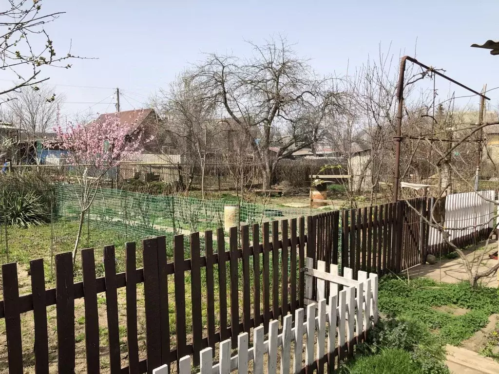 Дом в Адыгея, Майкоп Дружба ДНТ, ул. Цветочная, 34 (56 м) - Фото 1
