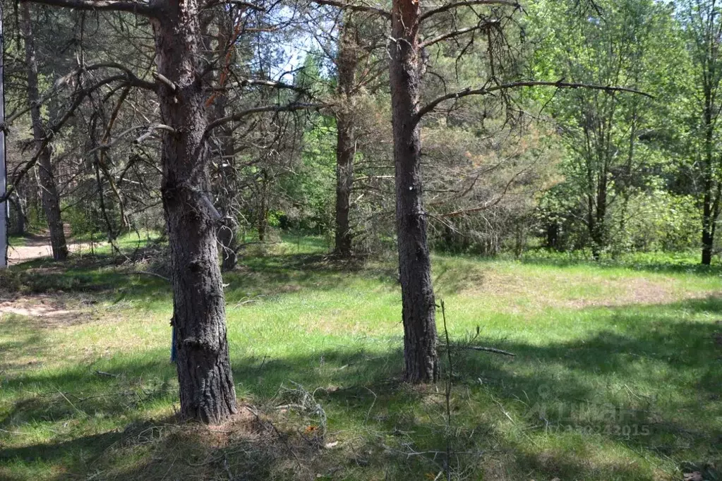 Участок в Тверская область, Осташковский муниципальный округ, д. ... - Фото 1