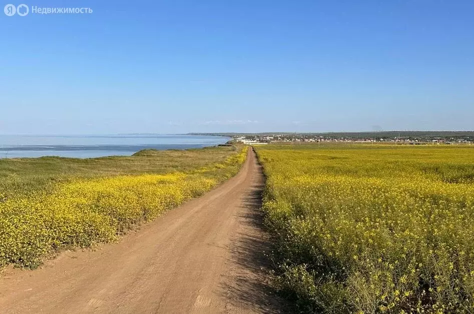 Участок в Темрюкский район, Фонталовское сельское поселение, посёлок ... - Фото 1