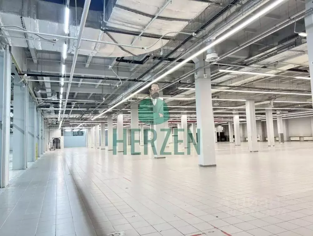 Производственное помещение в Москва Щелковское ш., 100 (2000 м) - Фото 2