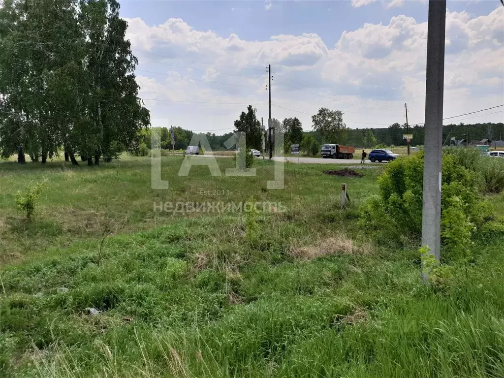 Участок в Челябинская область, Сосновский район, Кременкульское с/пос, ... - Фото 2