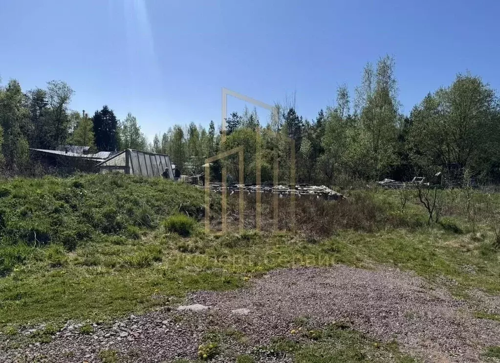 Участок в Санкт-Петербург Климовец СНТ, аллея 3-я, 28 (5.91 сот.) - Фото 1