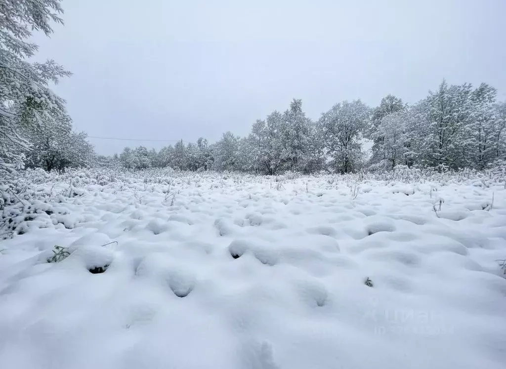 Участок в Камчатский край, Елизовский муниципальный округ, Вулканный ... - Фото 1