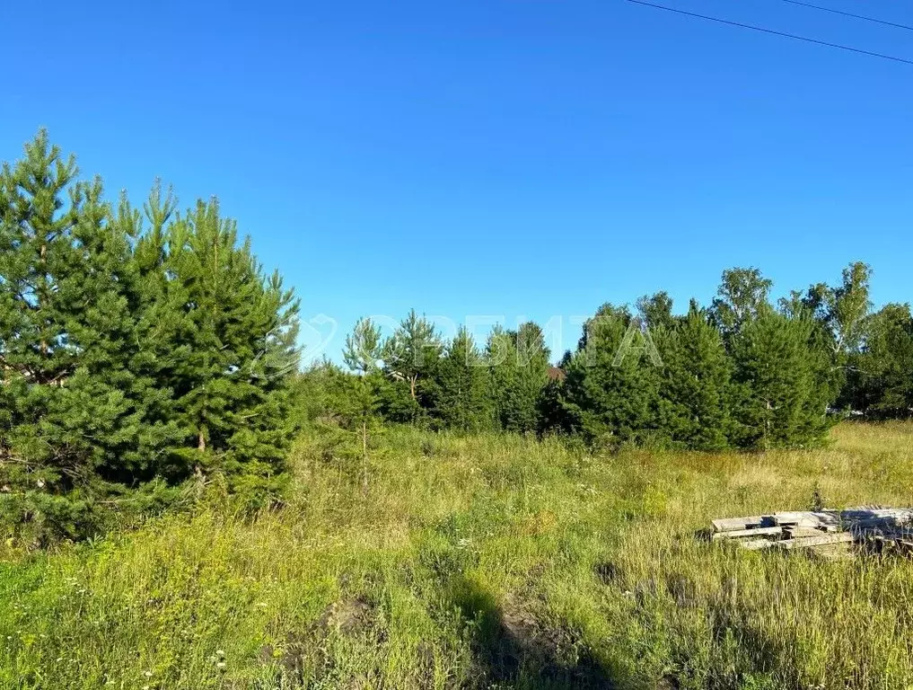 Участок в Тюменская область, Тюменский муниципальный округ, с. ... - Фото 1