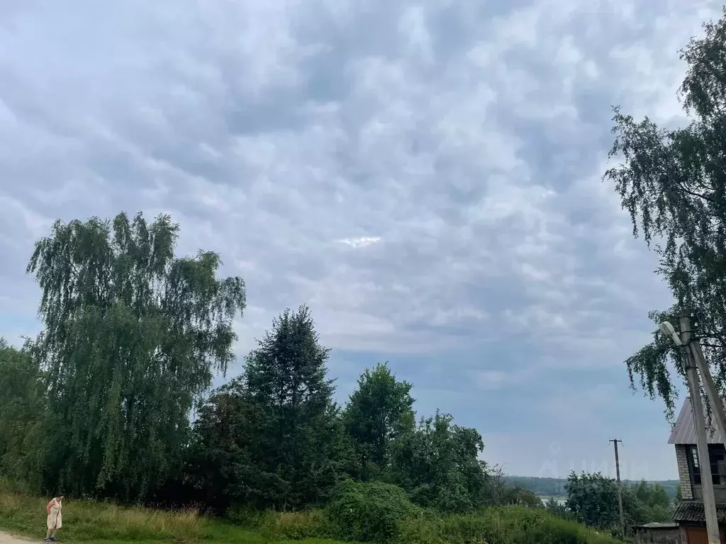 Участок в Ярославская область, Рыбинский муниципальный округ, д. ... - Фото 2