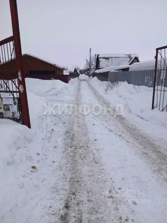 Дом в Новосибирская область, Новосибирск СНТ Виктория тер., 25 (18 м) - Фото 2