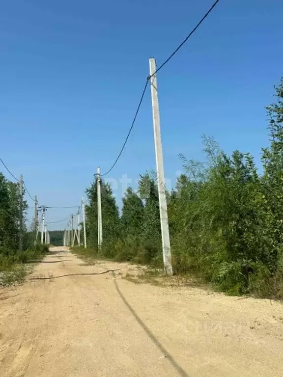 Участок в Амурская область, Благовещенский район, с. Чигири  (8.2 ... - Фото 1