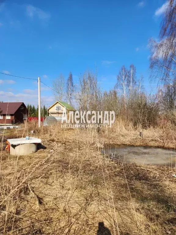 Участок в Ленинградская область, Киришский район, Глажевское с/пос, ... - Фото 2
