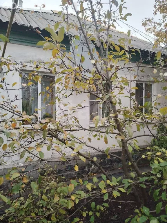 Дом в Новошахтинск, улица Калинина (82 м) - Фото 1