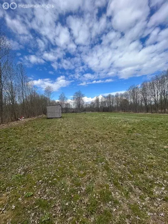 Участок в деревня Тарасово, 14-я линия (10 м) - Фото 1