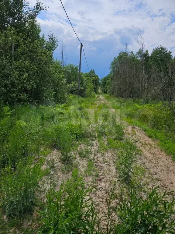 Участок 25 сот. (личное подсобное хозяйство (лпх)) - Фото 1