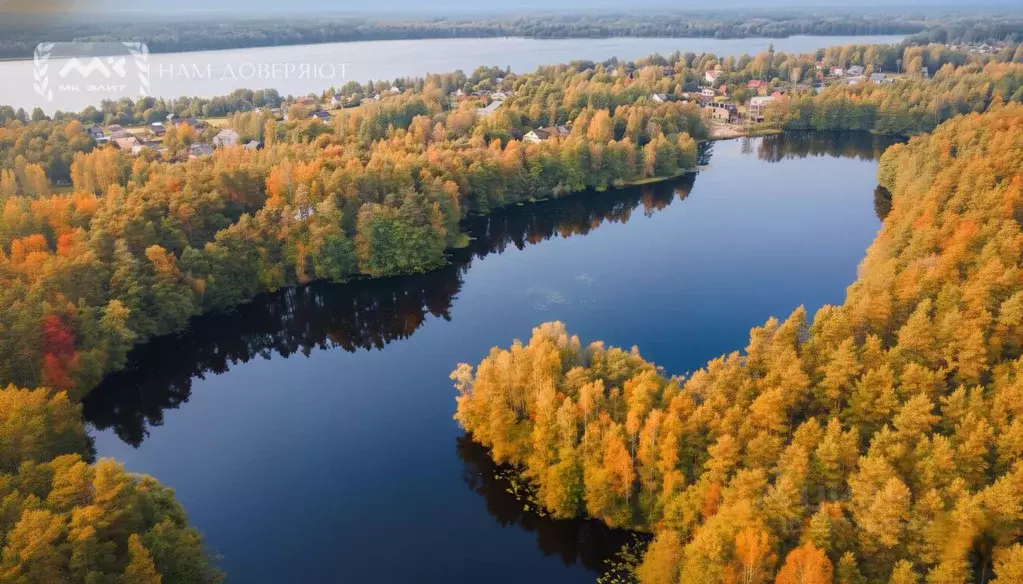 Участок в Ленинградская область, Выборгский район, пос. Поляны ул. ... - Фото 1