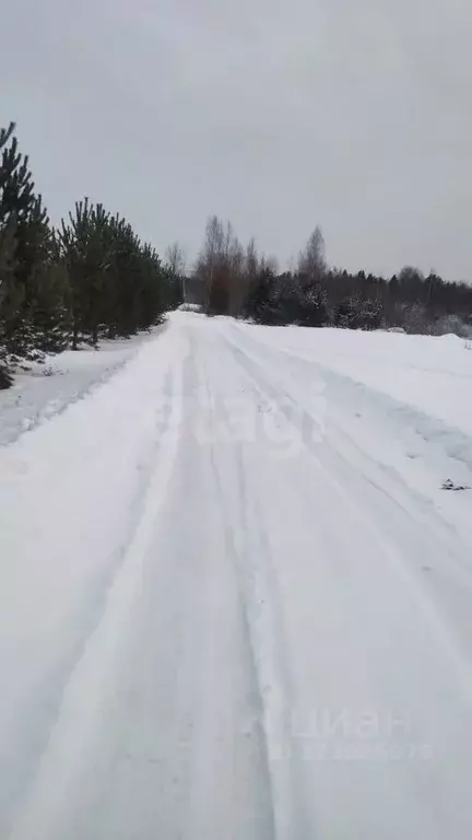 Участок в Вологодская область, Вологодский муниципальный округ, пос. ... - Фото 2