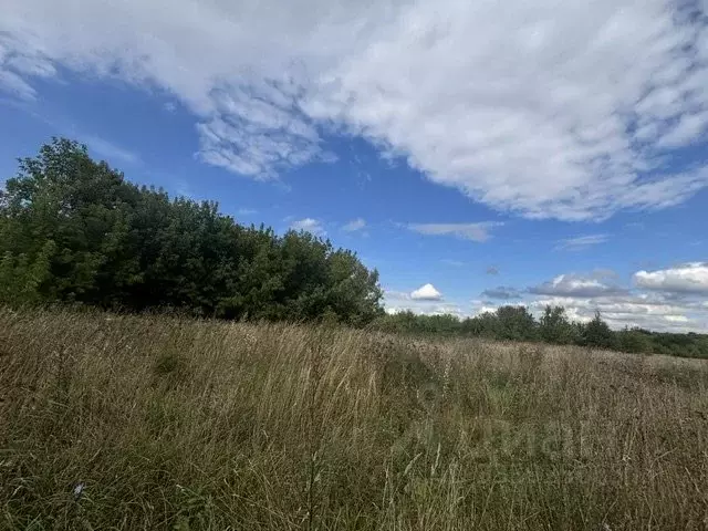 Участок в Московская область, Воскресенск городской округ, с. Ачкасово ... - Фото 2