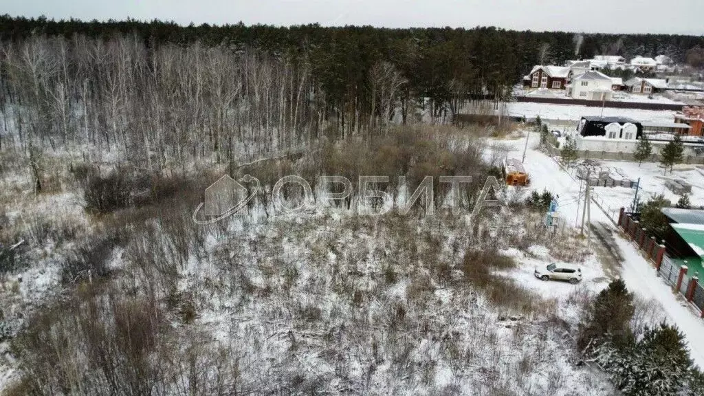 Участок в Тюменская область, Тюменский район, Нива СНТ ул. Урожайная, ... - Фото 1