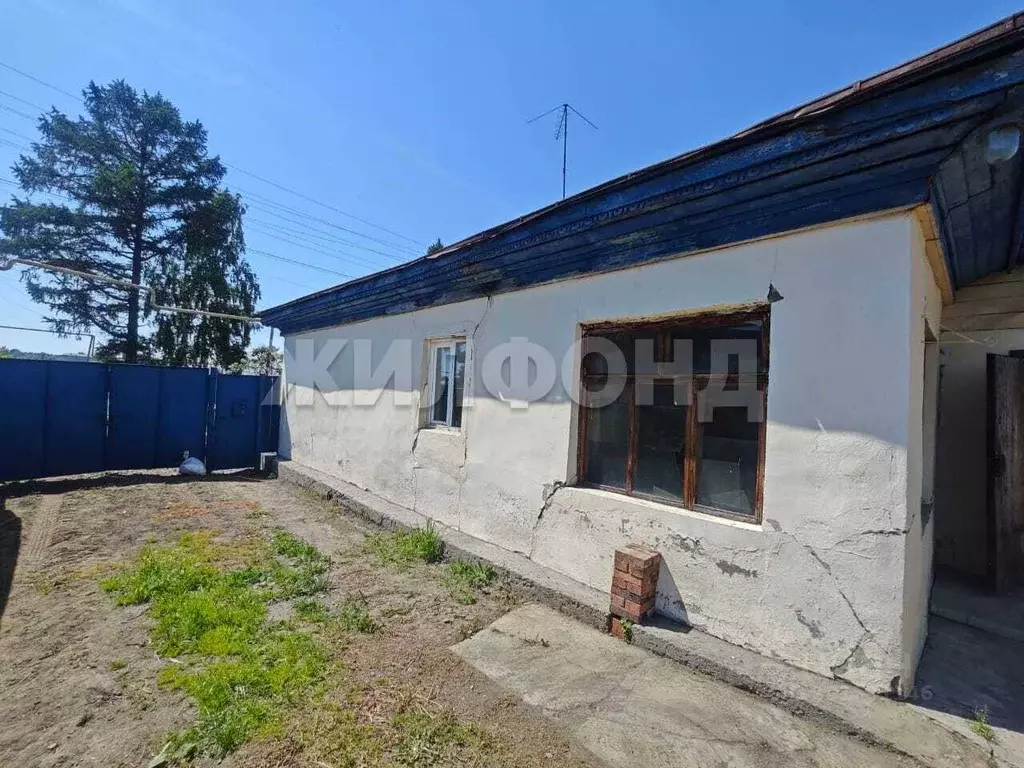 Дом в Новосибирская область, с. Новолуговое Песочная ул. (60 м) - Фото 1