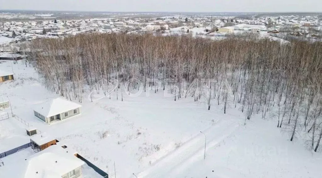 Участок в Тюменская область, Тюменский муниципальный округ, с. Луговое ... - Фото 2